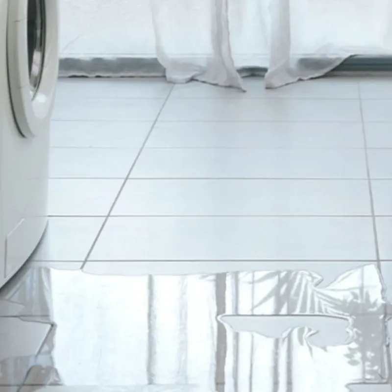Appliance Leak Cleanup in Morrisville, NY