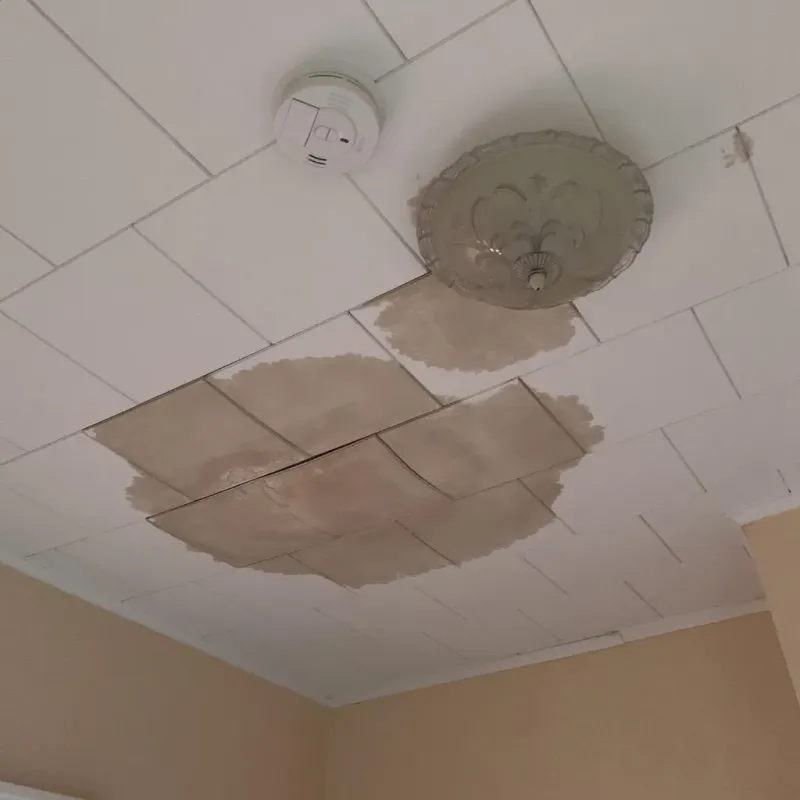 Ceiling Water Damage Repair in Morrisville, NY
