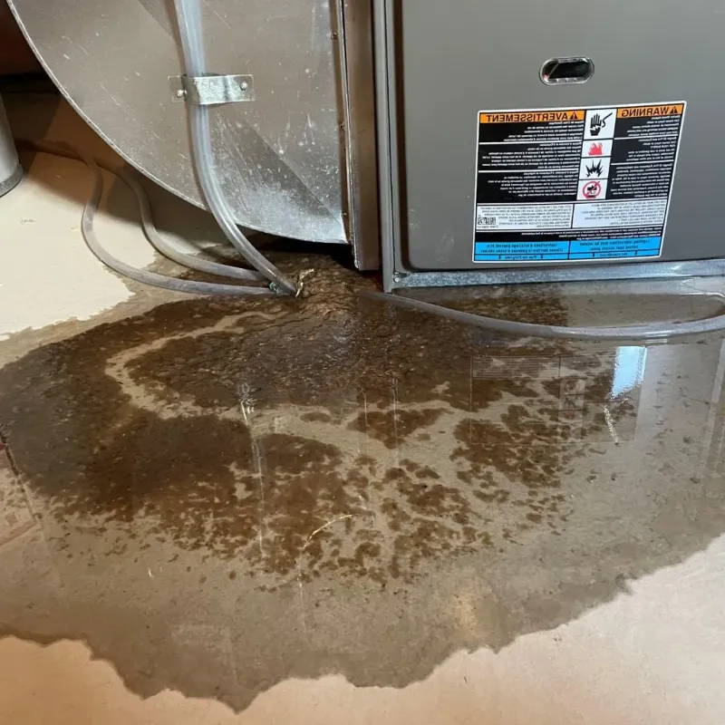 Pipe Burst and Leak Restoration in Morrisville, NY